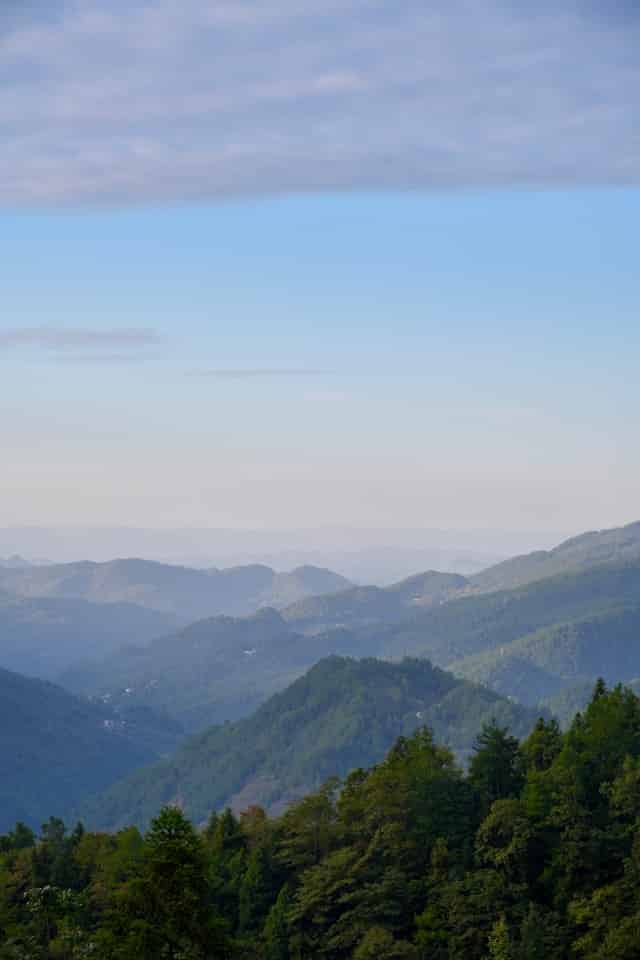 六州·知春年会分得“来”字韵