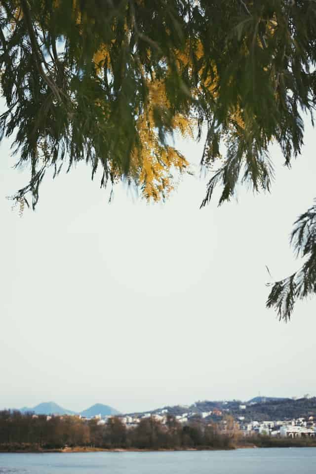 小重山·分韵得“春”字赋知春周年