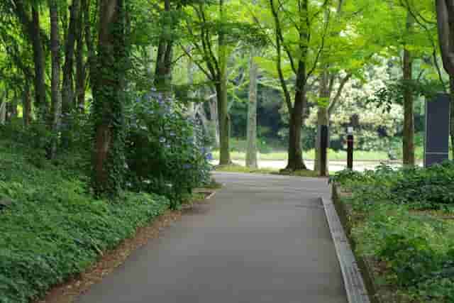 水调歌头·知春一年社庆分得“人”字